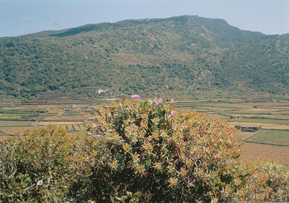 Pantelleria: panorama