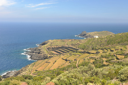 Terrazzamenti con muretti a secco dietro l'isola