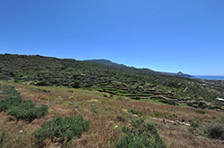 Terrazzamenti ad Ovest dell'isola (Sciuvechi)
