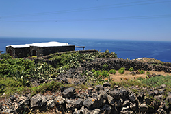 Sciuvechi tra Roccia e Mare