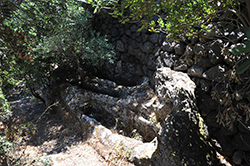 Le Tombe Bizantine di Zighidì